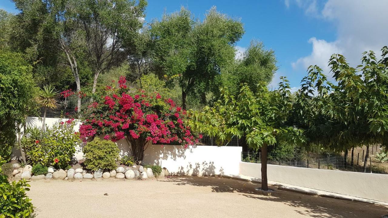 טיוקסיה Residence U Melu Grand T3 Jaune A L'Etage מראה חיצוני תמונה