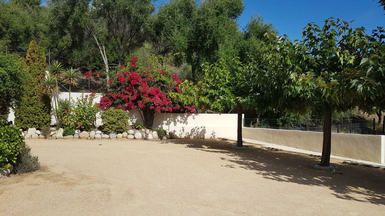 טיוקסיה Residence U Melu Grand T3 Jaune A L'Etage מראה חיצוני תמונה